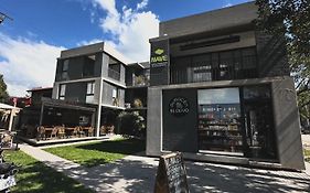 El olivo departamentos